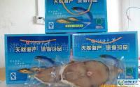 水產(chǎn)品批發(fā)與產(chǎn)業(yè)鏈概述 從捕撈加工到代理經(jīng)銷(xiāo)