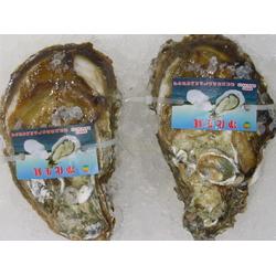 湛江市金屬材料貿(mào)易與日用百貨銷(xiāo)售行業(yè)的發(fā)展與前景