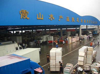 讓天下沒(méi)有難賣(mài)的魚(yú)蝦！探秘中國(guó)主要水產(chǎn)品批發(fā)市場(chǎng)