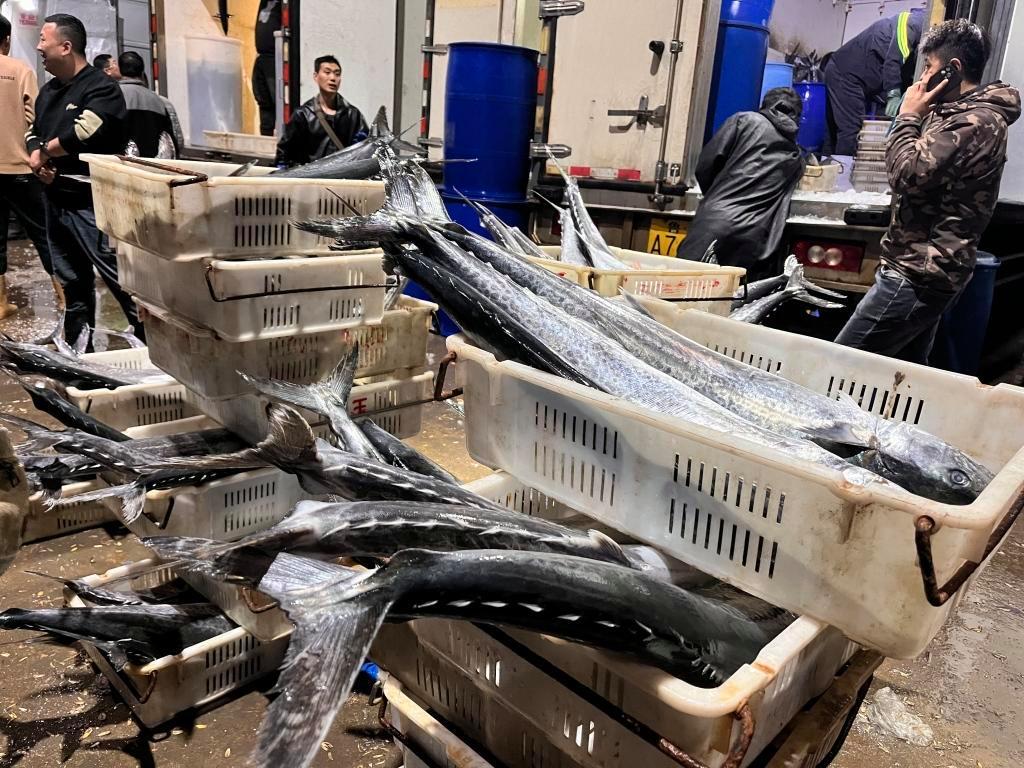 封海前最后一船海鮮抵達城陽水產批發市場，鲅魚仍唱主角